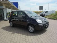 Gebraucht Fiat Panda Easy 69 PS (50 kW) 2016 Cinema schwarz Kleinwagen