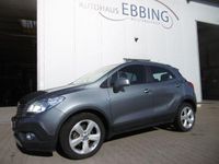 Gebraucht Opel Mokka Edition 116 PS (85 kW) 2014 Grau SUV