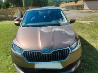 Gebraucht Skoda Fabia Active 60 PS (44 kW) 2019 Braun Kleinwagen