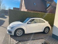 gebraucht VW Beetle 5C 2.5 l Volkswagen Weiß 170 PS