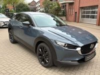 Neu Mazda CX-30 Homura-Line 140 PS (102 kW) 2026 Grau SUV