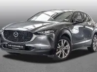 Gebraucht Mazda CX-30 Selection 180 PS (132 kW) 2019 Grau SUV