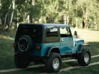 Gebraucht Jeep Wrangler 118 PS (86 kW) 1994 Blau SUV