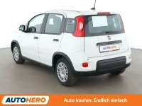 Gebraucht Fiat Panda Cross Cross 69 PS (50 kW) 2024 Bianco divino/zenit/ghiaccio/g Kleinwagen