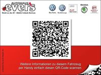 Gebraucht Skoda Fabia Joy 75 PS (55 kW) 2016 Blau Kleinwagen