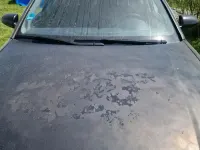 Gebraucht Audi A4 150 PS (110 kW) 2001 Schwarz Kombi