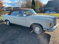 Gebraucht Mercedes W111 SE 150 PS (110 kW) 1967 Beige Cabrio
