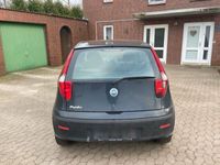 gebraucht Fiat Punto 