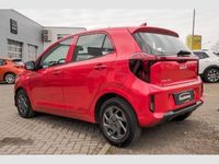 Neu Kia Picanto Vision 68 PS (50 kW) 2026 Rot Kleinwagen