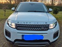 Gebraucht Land Rover Range Rover evoque SE Dynamic 150 PS (110 kW) 2016 Weiß SUV