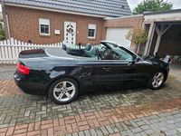 Gebraucht Audi A5 Cabriolet 170 PS (125 kW) 2010 Schwarz Cabrio