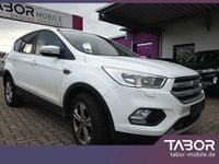 Usata Ford Kuga Trend 120 CV (88 kW) 2018 Bianco SUV