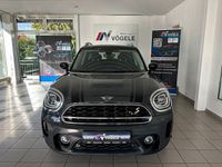 Gebraucht Mini Cooper Countryman 220 PS (161 kW) 2020 Grau SUV