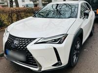 Gebraucht Lexus UX 250h 184 PS (135 kW) 2021 Weiß SUV