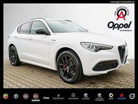 gebraucht Alfa Romeo Stelvio MY20-Veloce 2.0 Turbo 16V ACC+NAVI+SITZH MY20-Veloce 2.0 Turbo 16V KAMERA+KLIMA Autom.