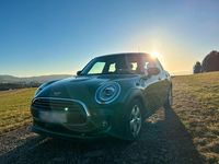 Gebraucht Mini Cooper 136 PS (100 kW) 2020 Grün Kleinwagen