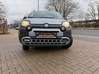 Gebraucht Fiat Panda Cross Cross 69 PS (50 kW) 2019 Grau Kleinwagen