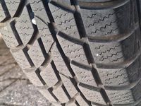 Gebraucht Fiat Panda 54 PS (39 kW) 2005 Grün Kleinwagen