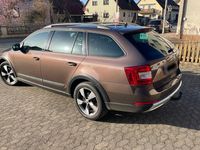 Gebraucht Skoda Octavia 184 PS (135 kW) 2014 Braun Kleinwagen