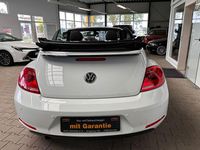 Gebraucht VW Beetle Cabriolet Basis 110 PS (80 kW) 2015 Weiß Cabrio