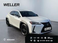 Gebraucht Lexus UX 250h 184 PS (135 kW) 2020 Titaniumweiß metallic SUV