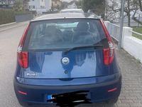 gebraucht Fiat Punto 