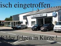 Gebraucht Fiat 500 Pop Star 69 PS (50 kW) 2019 Grau Kleinwagen