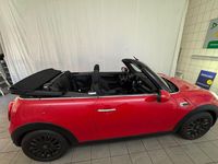 Gebraucht Mini Cooper Cabriolet Chili 136 PS (100 kW) 2019 Rot Cabrio