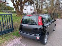 Occasion Fiat Panda 69 ch (50 kW) 2015 Noir Citadine