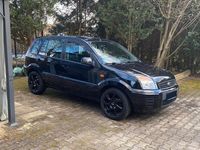 Gebraucht Ford Fusion Style 80 PS (58 kW) 2010 Schwarz Kleinwagen