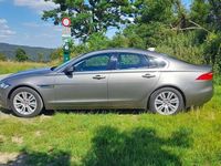 Gebraucht Jaguar XF Pure 200 PS (147 kW) 2018 Beige Limousine