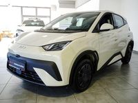 Neu BYD Dolphin Surf Active 2026 Weiß Kleinwagen