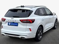 Gebraucht Ford Kuga ST-Line X 186 PS (136 kW) 2024 Frozen white SUV