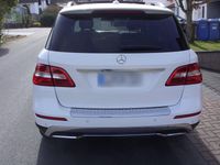 Gebraucht Mercedes ML350 258 PS (189 kW) 2015 Weiß SUV
