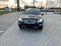 Gebraucht Mercedes ML350 231 PS (169 kW) 2011 Schwarz SUV