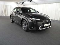 gebraucht Lexus UX 300e 300e Komfort-Paket LED/CAR-PLAY/KAMERA/17