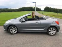 Gebraucht Peugeot 207 CC Sport 120 PS (88 kW) 2007 Grau Cabrio