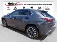 gebraucht Lexus UX 250h Executive Line/Premium/Head-Up/Schiebedach