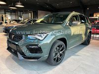 Neu Cupra Ateca 190 PS (139 kW) 2026 Grün SUV