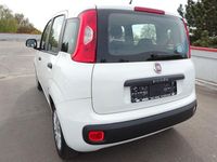 Occasion Fiat Panda Easy 69 ch (50 kW) 2018 Blanc Citadine