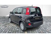 Gebraucht Fiat Panda 69 PS (50 kW) 2024 Kleinwagen