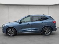 Gebraucht Ford Kuga ST-Line X 150 PS (110 kW) 2023 Blau SUV