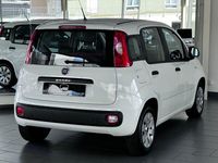 Gebraucht Fiat Panda Pop 69 PS (50 kW) 2016 Weiß Kleinwagen