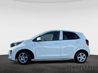 Gebraucht Kia Picanto Vision 67 PS (49 kW) 2024 Weiss ((ud) schneeweiss) Kleinwagen