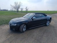 Gebraucht Audi Cabriolet Sport 333 PS (244 kW) 2010 Schwarz Cabrio