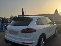Gebraucht Porsche Cayenne 240 PS (176 kW) 2017 Weiß SUV