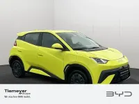 Neu BYD Dolphin Surf Active 64 kW (88 PS) 2026 Grün Kleinwagen