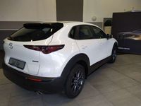 gebraucht Mazda CX-30 SKYACTIV-G 2.0 M Hybrid 6GS AL-SELECTION