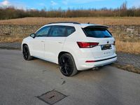 Gebraucht Seat Ateca 4Drive 190 PS (139 kW) 2020 Weiß SUV