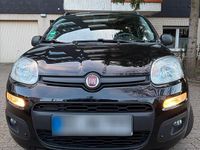 Gebraucht Fiat Panda Easy 69 PS (50 kW) 2020 Schwarz Kleinwagen